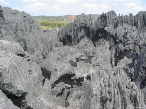 Tsingy de Bemaraha National Park 24