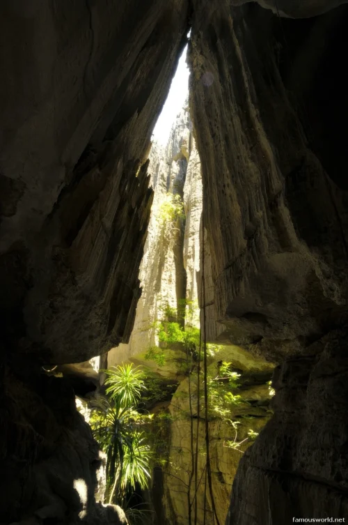 Tsingy de Bemaraha National Park 25