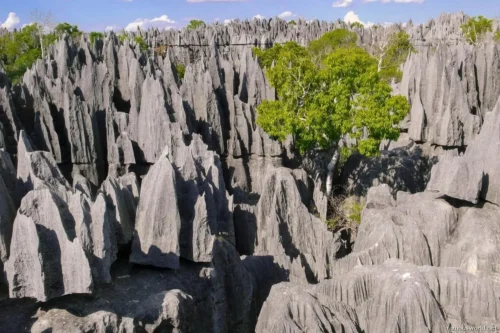 Tsingy de Bemaraha National Park 31