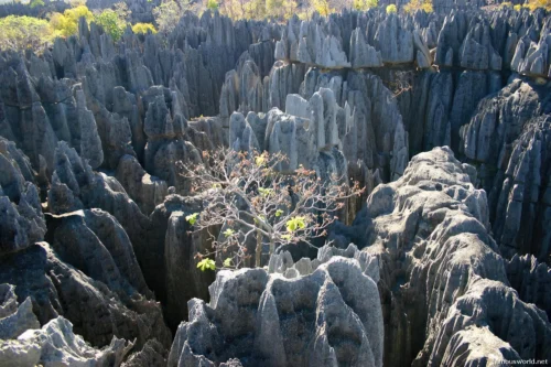 Tsingy de Bemaraha National Park 32