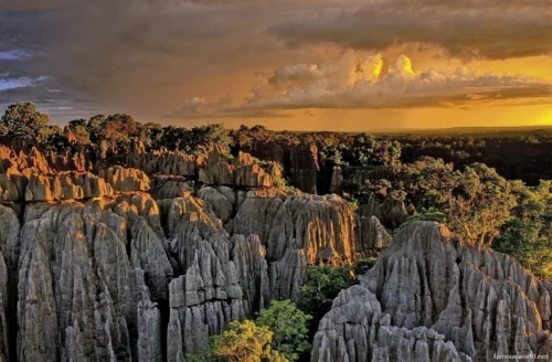 Tsingy de Bemaraha National Park 33