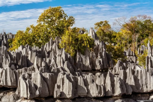Tsingy de Bemaraha National Park 37