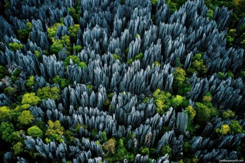 Tsingy de Bemaraha National Park 40