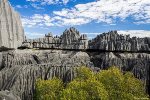 Tsingy de Bemaraha National Park 41