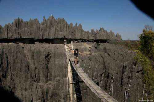 Tsingy de Bemaraha National Park 43
