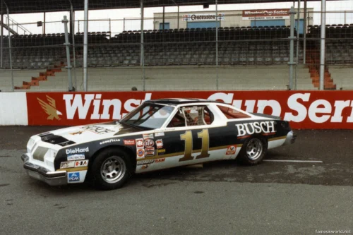 Cale Yarborough 06