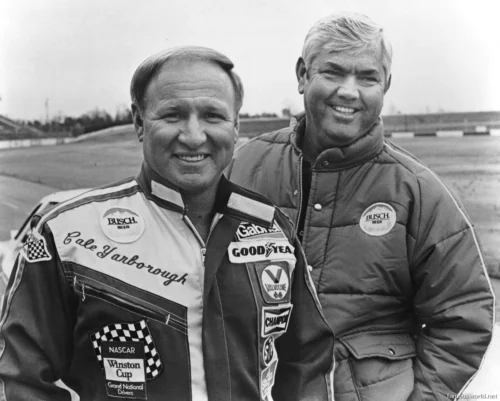 Cale Yarborough 19