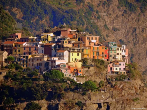 Corniglia italy 18