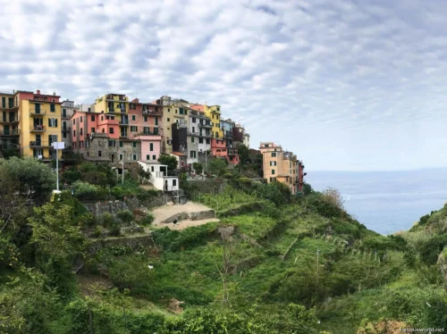 Corniglia italy 19