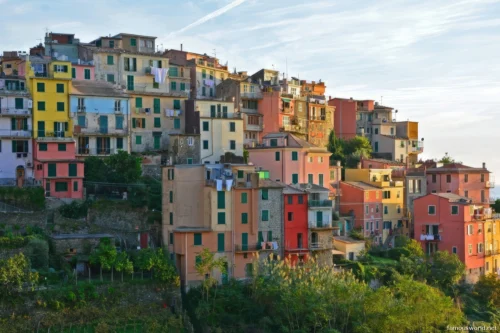 Corniglia italy 22