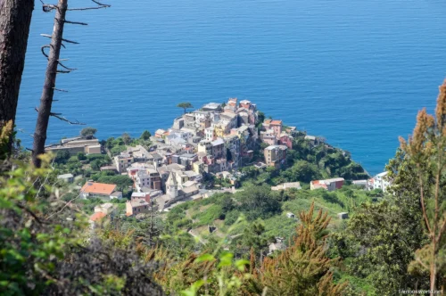 Corniglia italy 30