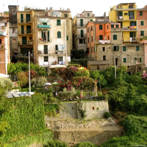 Corniglia italy 38