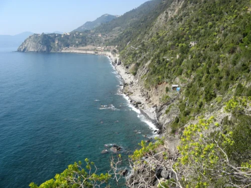 Corniglia italy 49