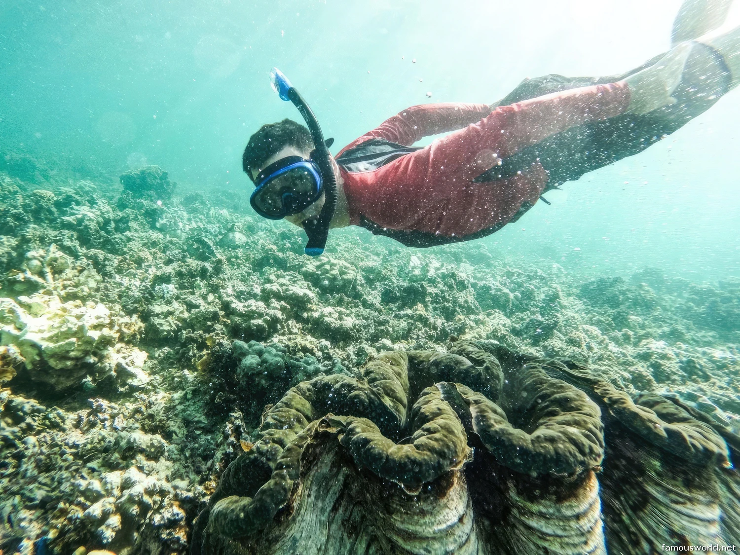 Giant Clam Sanctuary