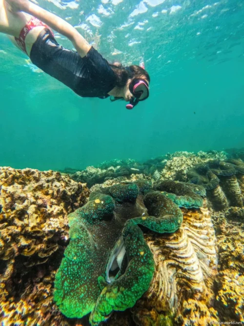 Giant Clam Sanctuary Photos 05