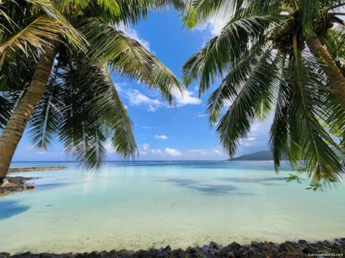 Giant Clam Sanctuary Photos 23