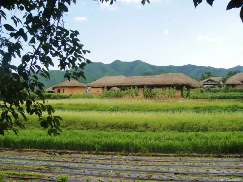 Hahoe Folk Village Photos 08