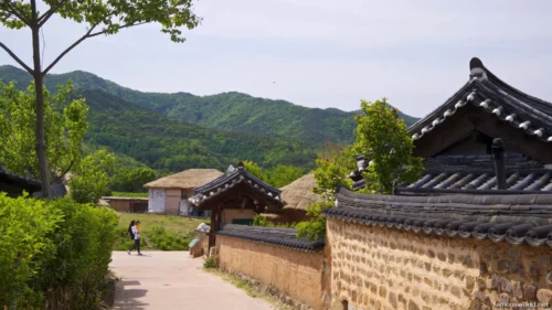 Hahoe Folk Village Photos 35