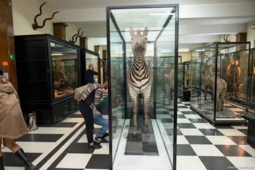 National Historical Museum in Sofia 07