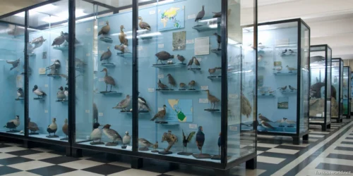 National Historical Museum in Sofia 22