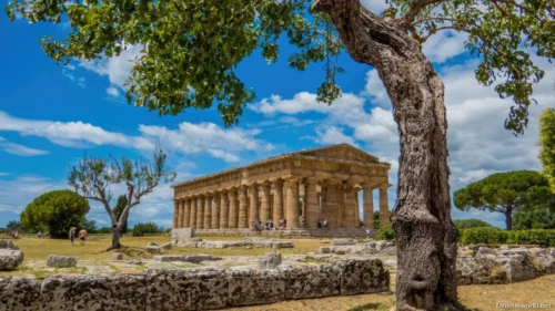 Parco Archeologico di Paestum 03