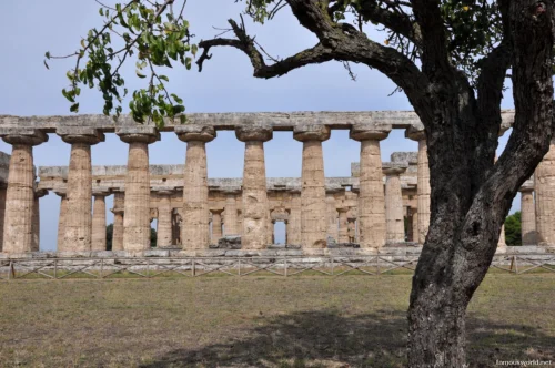 Parco Archeologico di Paestum 18