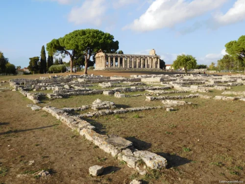 Parco Archeologico di Paestum 45