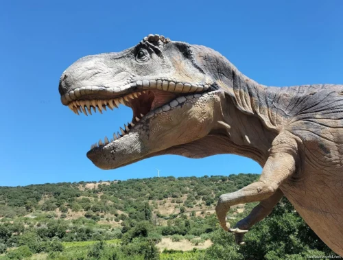 Parco Sardegna in Miniatura 04