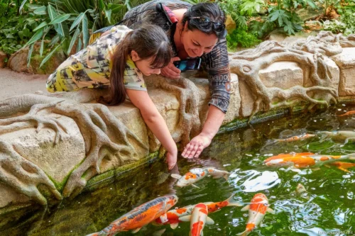 Parco Sardegna in Miniatura 33