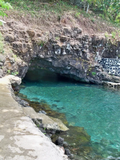 Piula Cave Pool 12