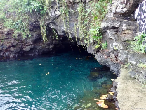 Piula Cave Pool 18