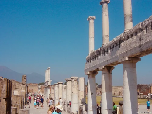 Pompeii and Herculaneum 43