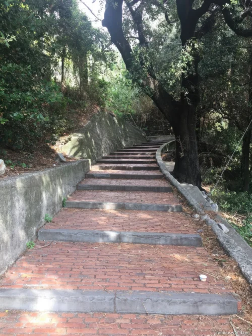 Scalinata Lardarina 29