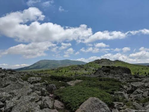 Vitosha Mountain 13