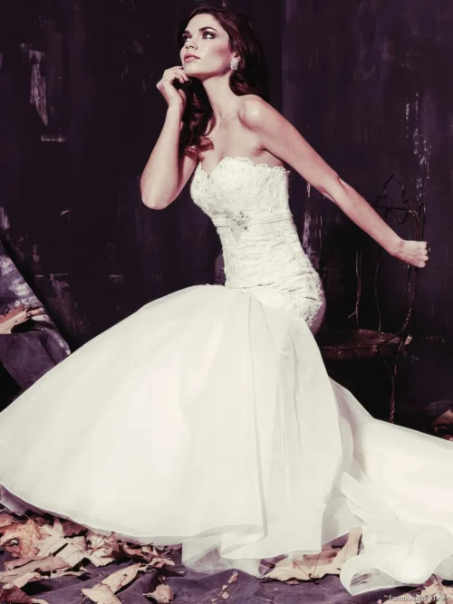 Aarika Wolf Photos 10