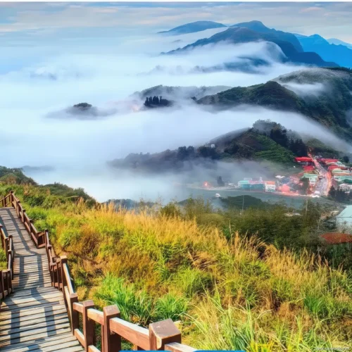 Alishan National Scenic Area Photos 02