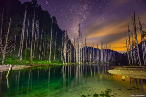 Alishan National Scenic Area Photos 03