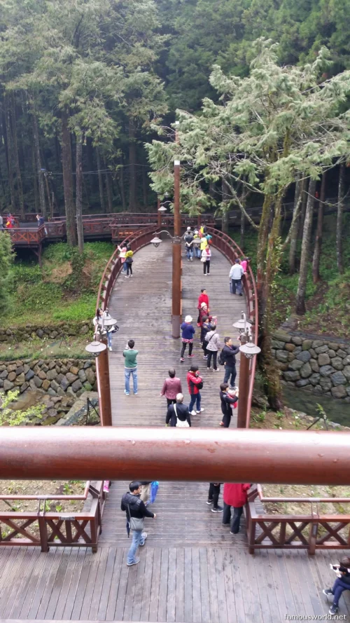 Alishan National Scenic Area Photos 05