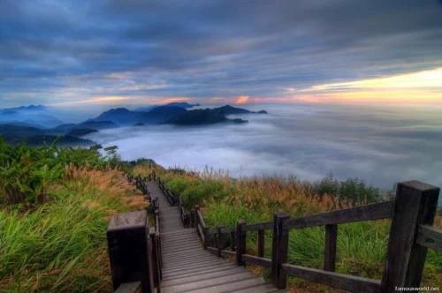 Alishan National Scenic Area Photos 09