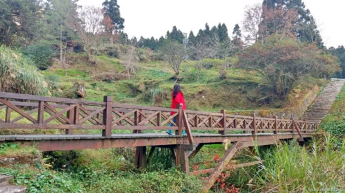 Alishan National Scenic Area Photos 12