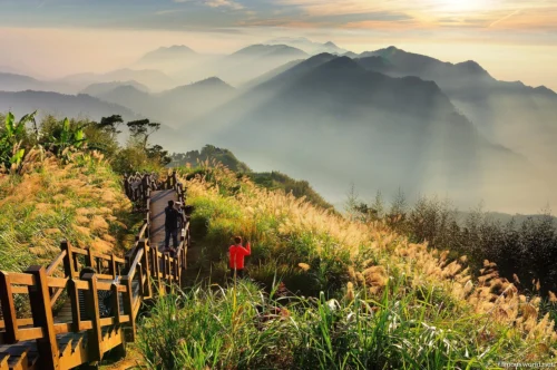 Alishan National Scenic Area Photos 15