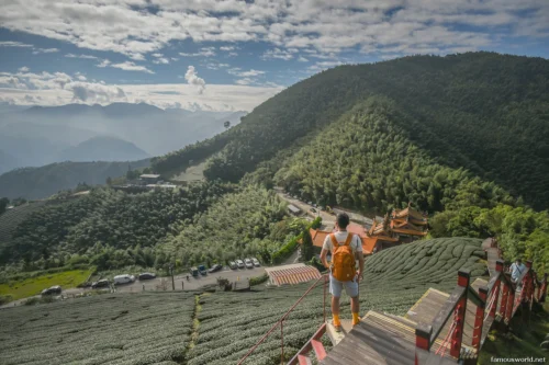 Alishan National Scenic Area Photos 20