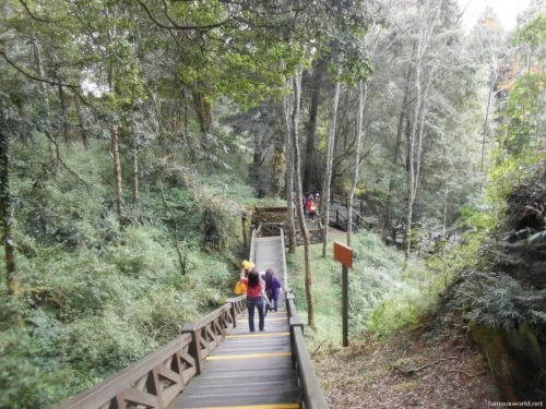 Alishan National Scenic Area Photos 28