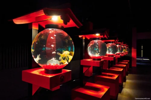 Art Aquarium Museum Ginza Photos 01