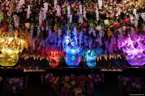 Art Aquarium Museum Ginza Photos 04