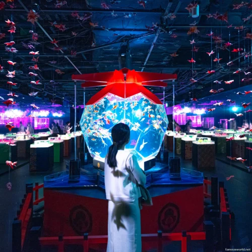 Art Aquarium Museum Ginza Photos 05