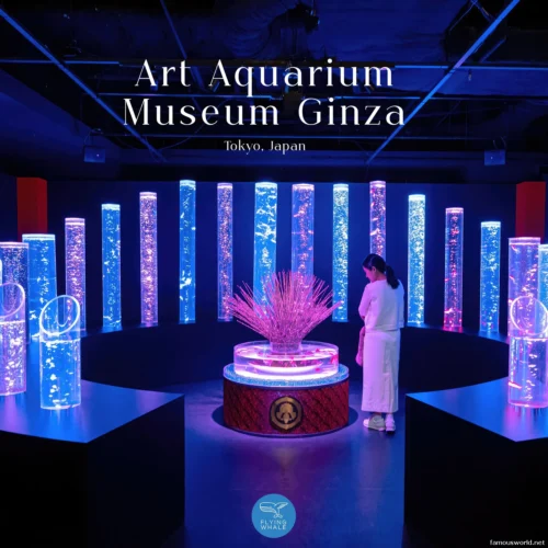 Art Aquarium Museum Ginza Photos 06
