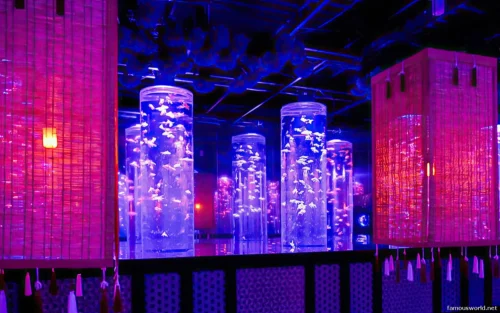 Art Aquarium Museum Ginza Photos 07