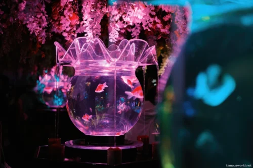 Art Aquarium Museum Ginza Photos 08