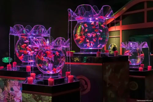 Art Aquarium Museum Ginza Photos 12